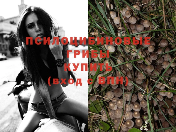 PSILOCYBIN Надым