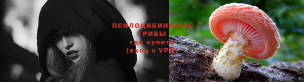 PSILOCYBIN Надым